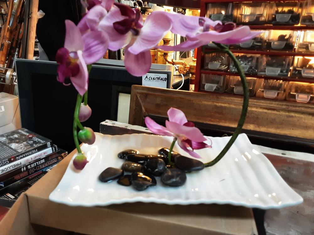 ORCHIDEE DANS UNE ASSIETTE