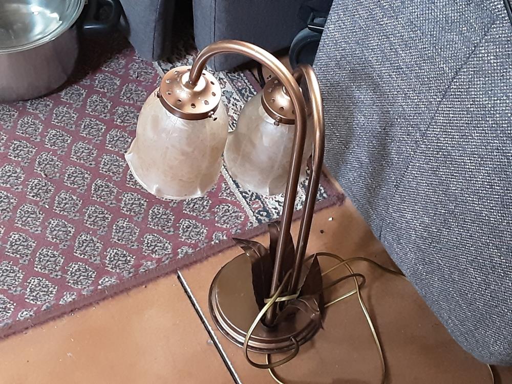 LAMPE 2 TULIPES