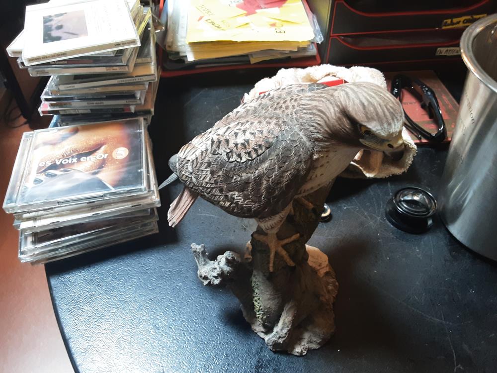 STATUT AIGLE