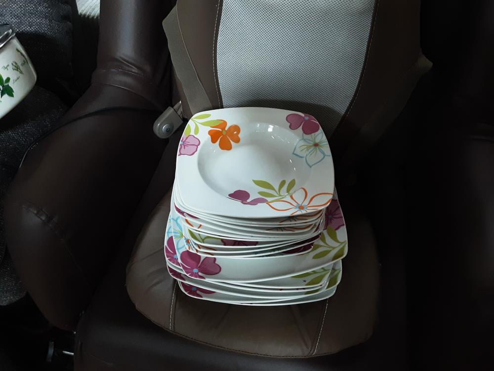 LOT ASSIETTES FLEURS