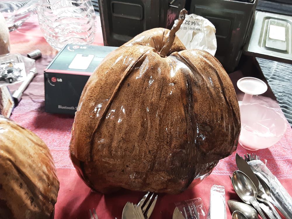 NOIX DE COCO GM 