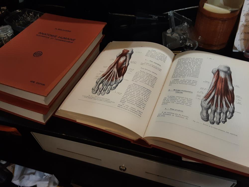 LIVRE 3 VOLUMES ANATOMIE HUMAINE