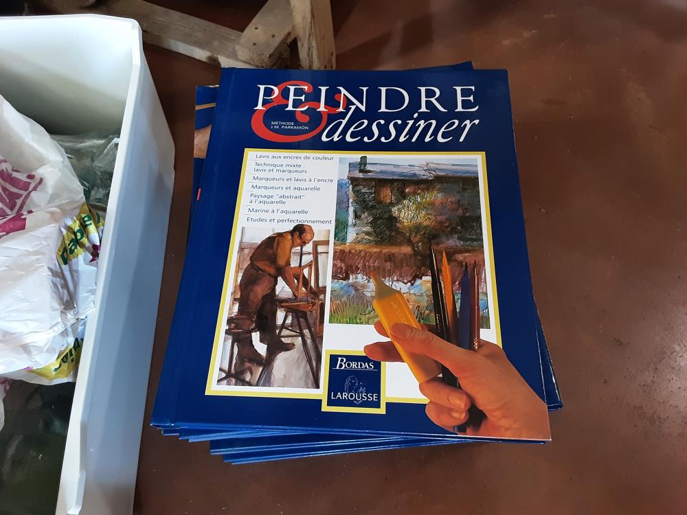 LOT DE LIVRE PEINDRE DESSINER