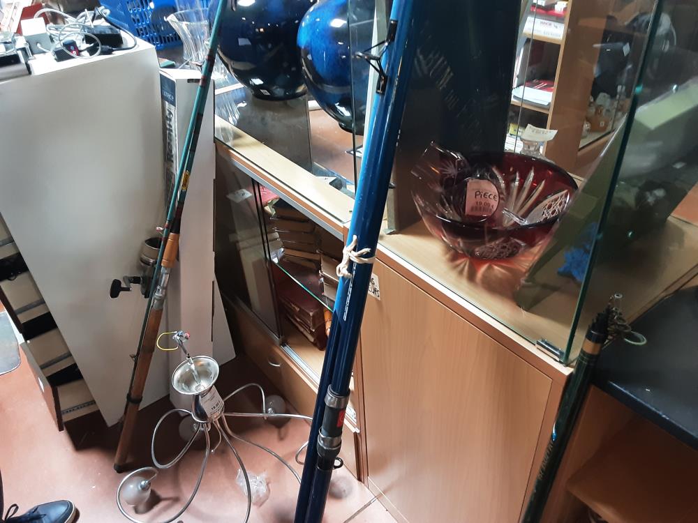 CANNE A PECHE BLEU + MOULINET 