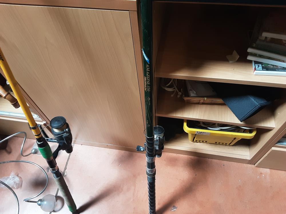 CANNE A PECHE TRUITE AMAZON +MOULINET 