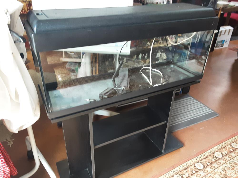 MEU LE AQUARIUM NOIR + AQUARIUM 