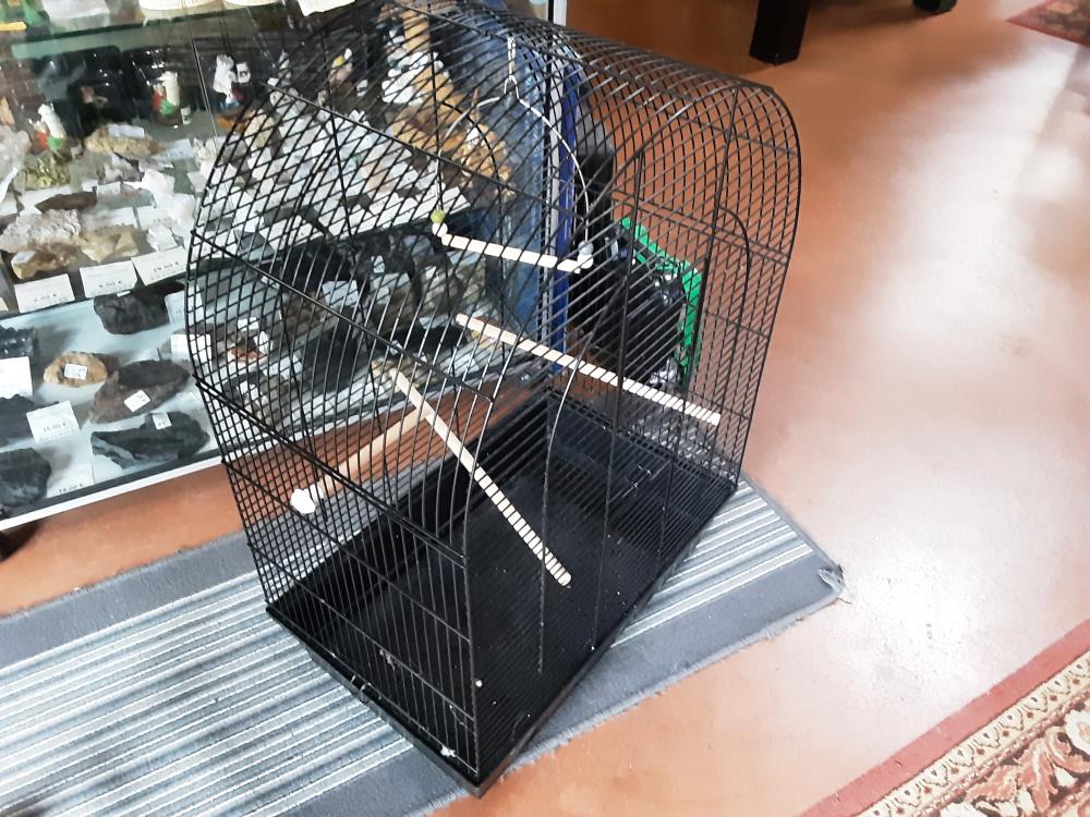 CAGE OISEAU 