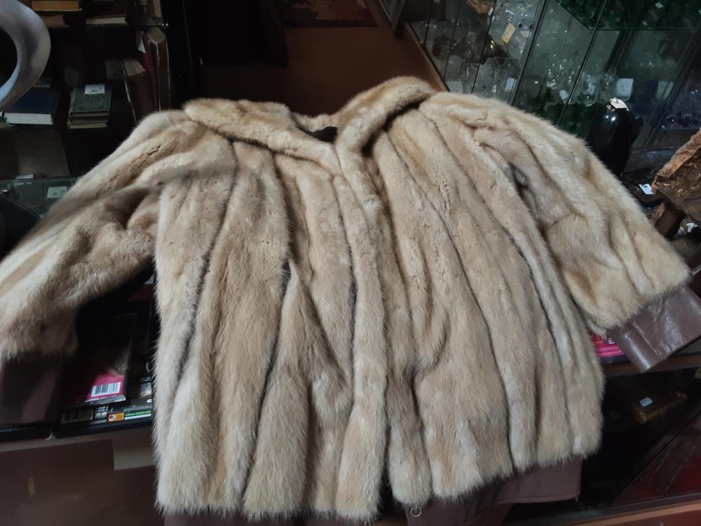 VISON CLAIR TAILLE 40