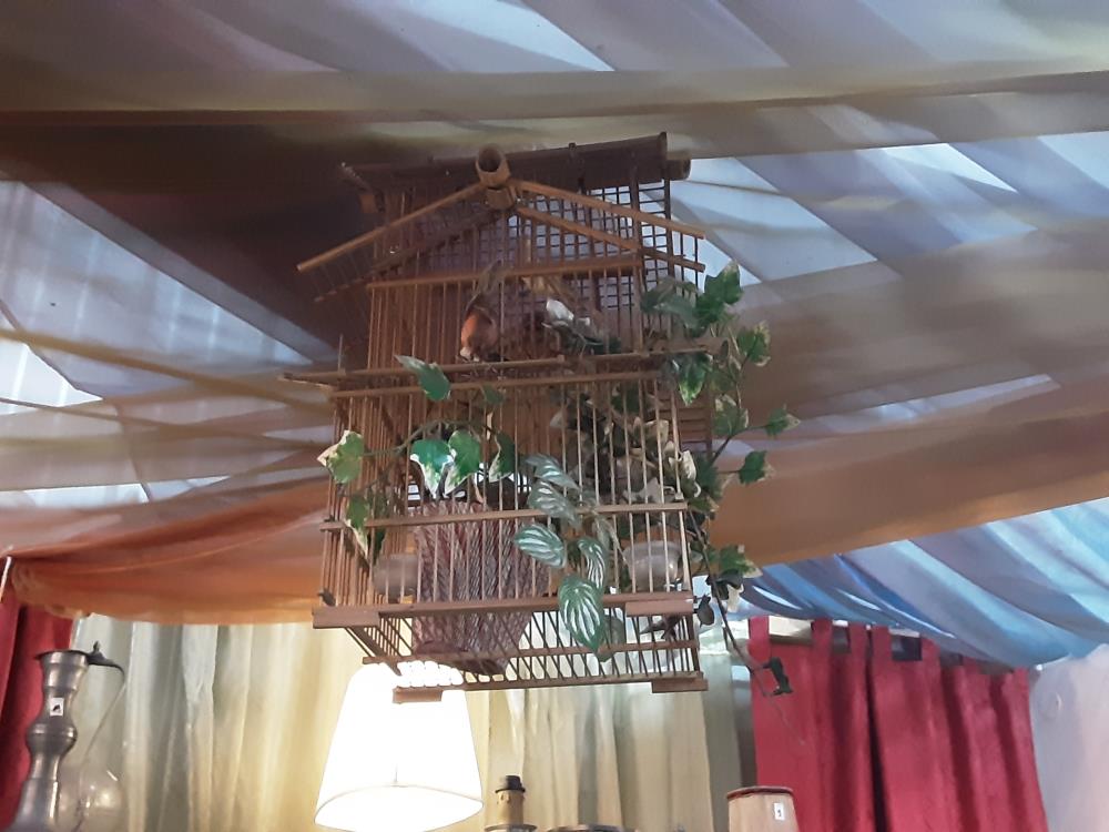 CAGE OISEAUX BOIS DECORATIVE