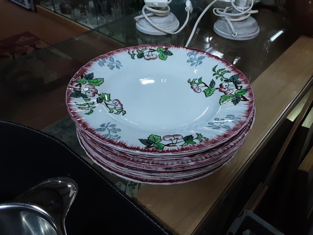 LOT DE 9 ASSIETTES LONGWY