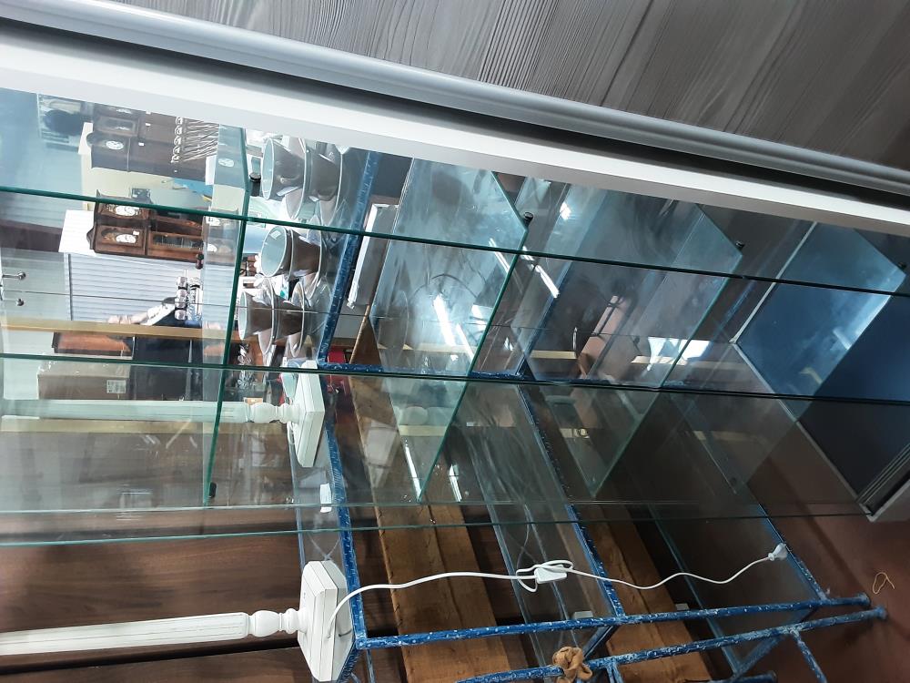 VITRINE VERRE SUR ROULETTES 2PC