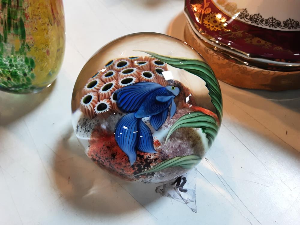 SULFURE POISSON ORIEN & FLUME