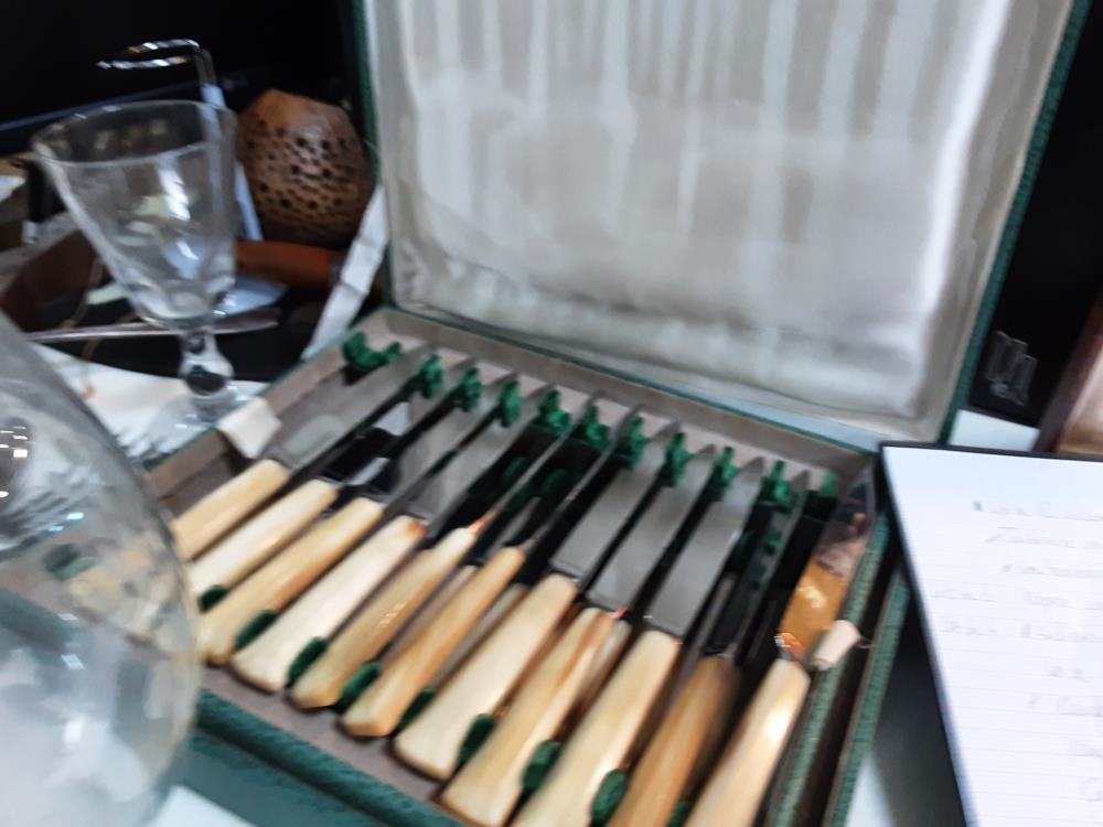 LOT DE 23 COUTEAUX NACRE