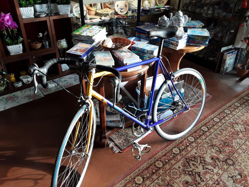 VELO GARSI THIONVILLE