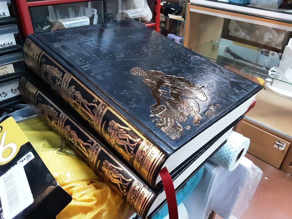 LIVRE LA GRANDE BIBLE GUSTAVE DORE 1985 (2 TOMES)