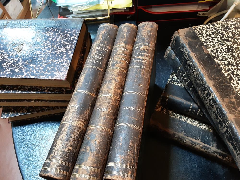 LIVRE "HISTOIRE DE FRANCE" HENRI MARTIN (3 TOMES)