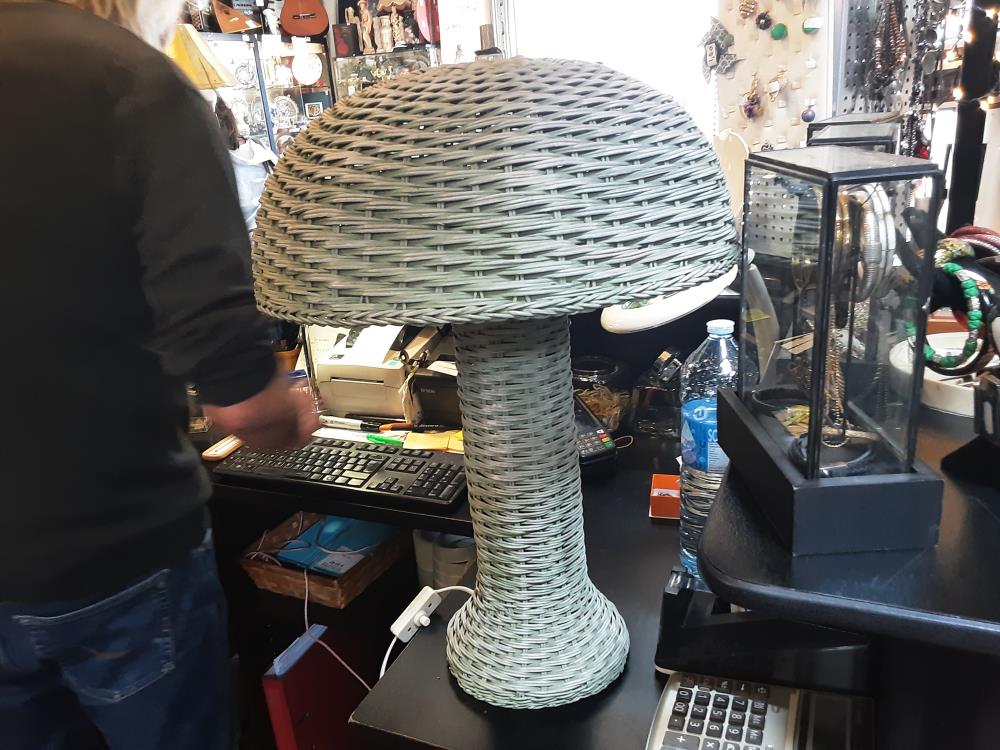 LAMPE OSIER VERTE DANS L’ETAT