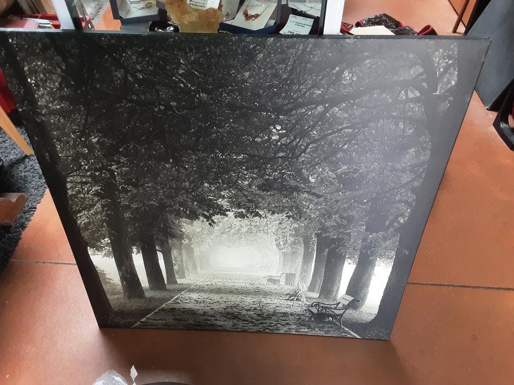 TOILE NOIRE 
