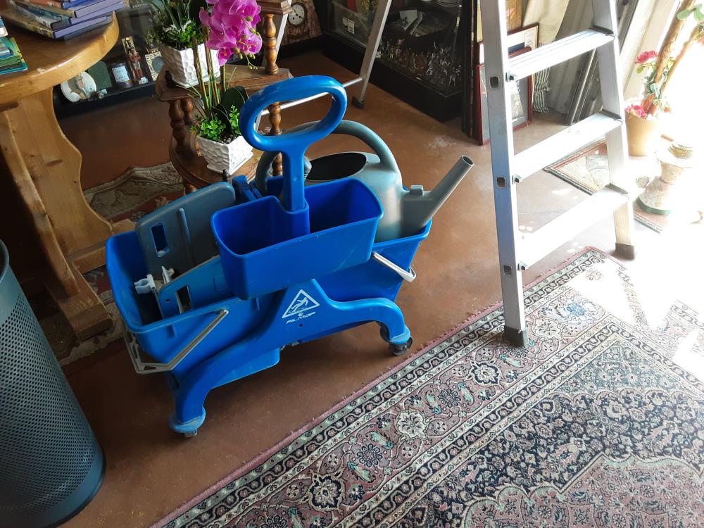 CHARIOT MENAGE