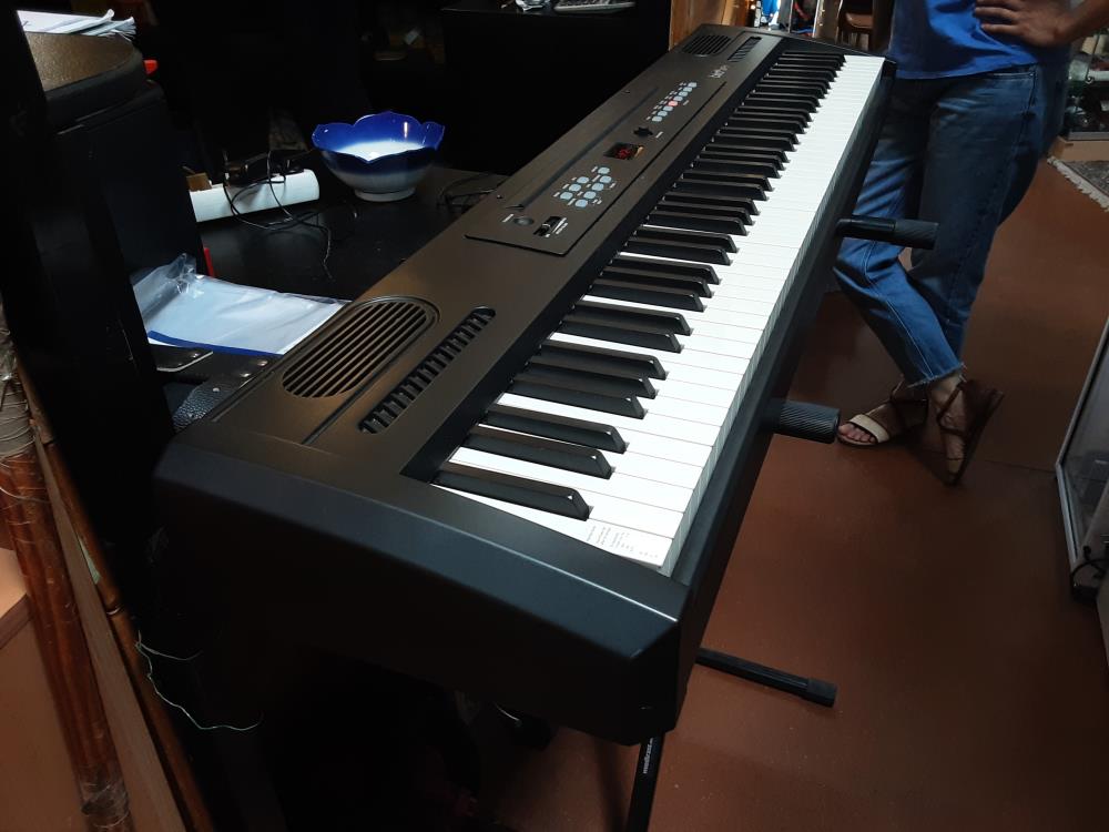PIANO NUMERIQUEBIRD XP1 + PIED + CABLE