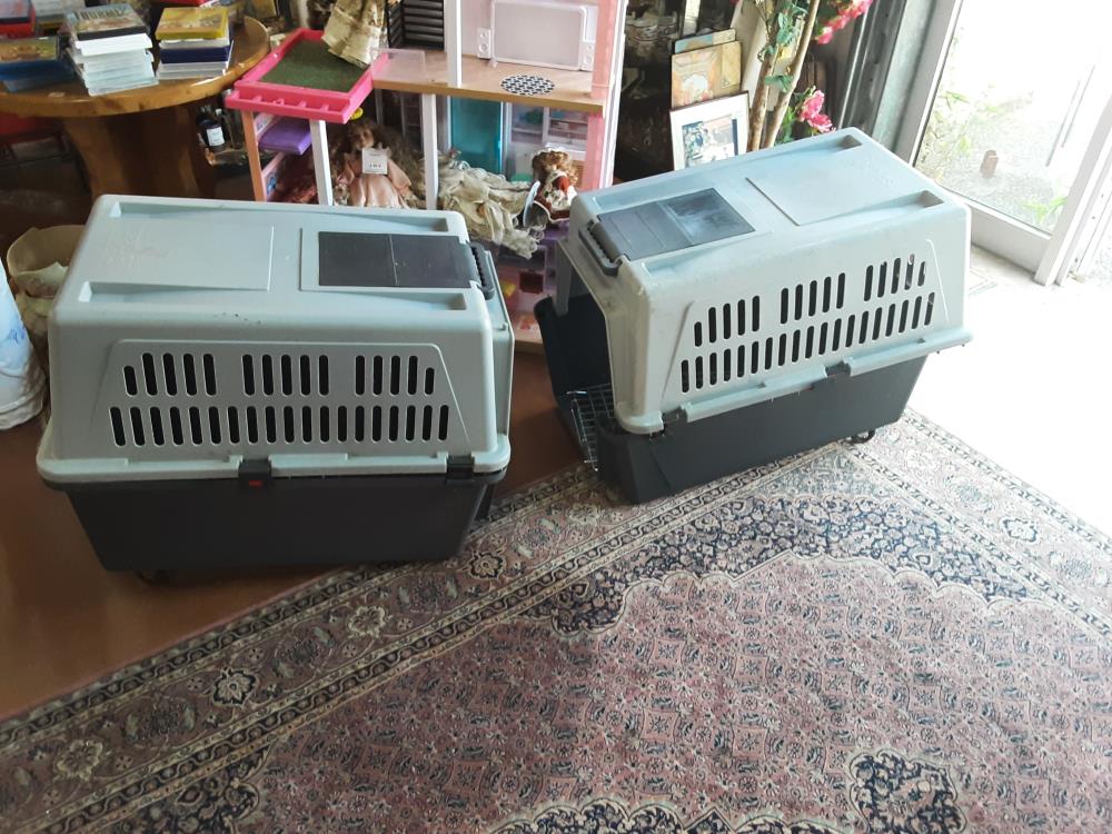 CAGE TRANSPORT CHIEN GM