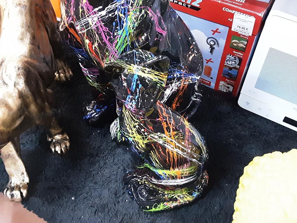 CHAT COLORÉ 