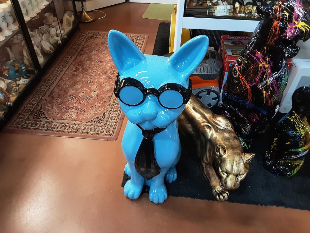 CHAT BLEU LUNETTE 