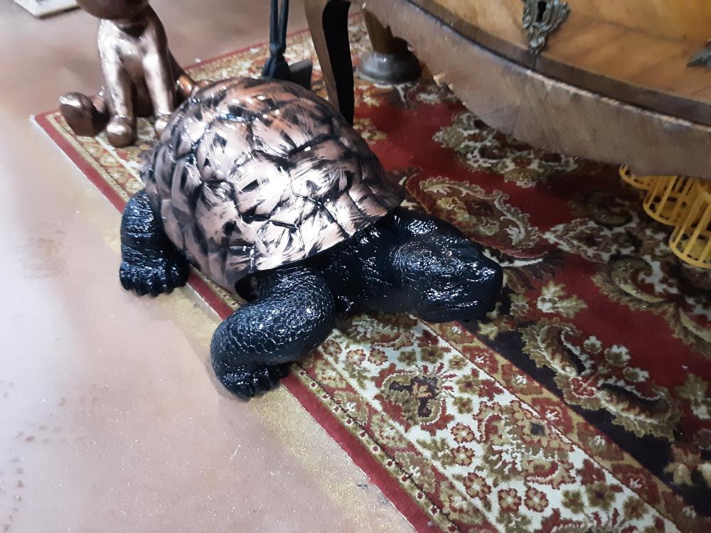 TORTUE