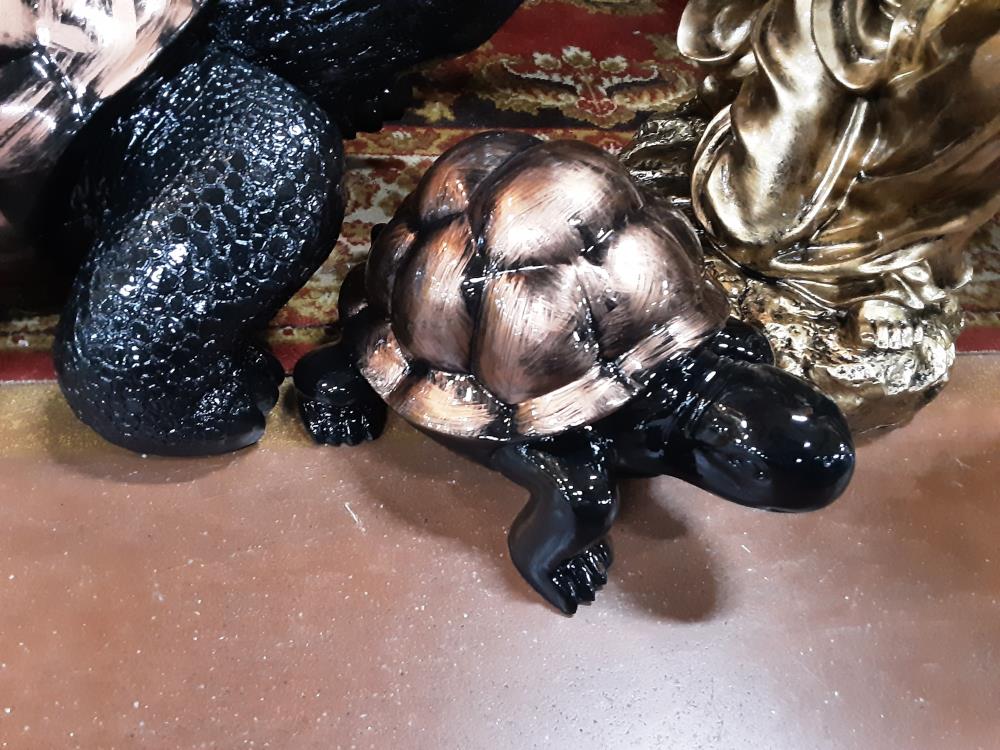 TORTUE PM