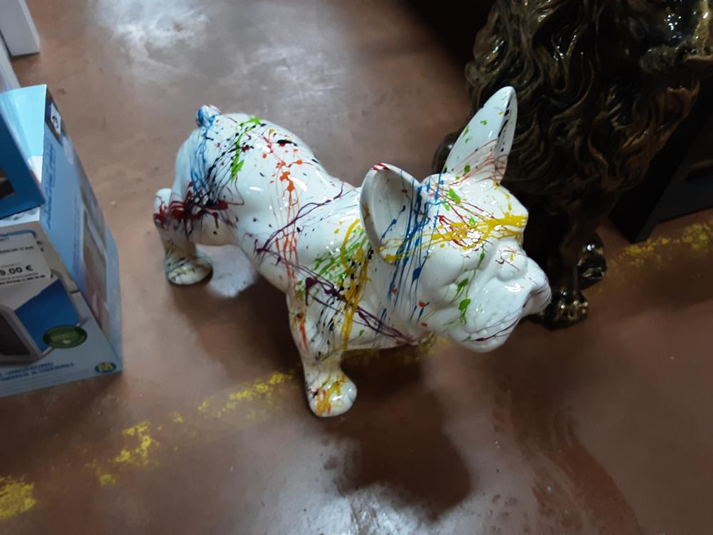 BULLDOG COLORE 