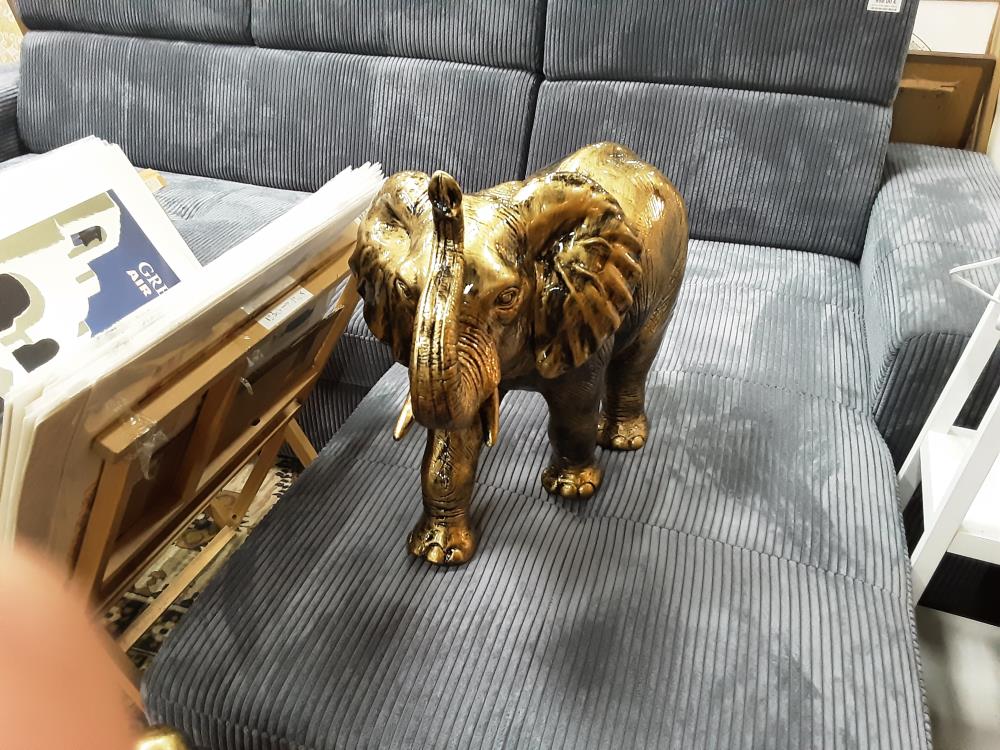 ELEPHANT DORE GM