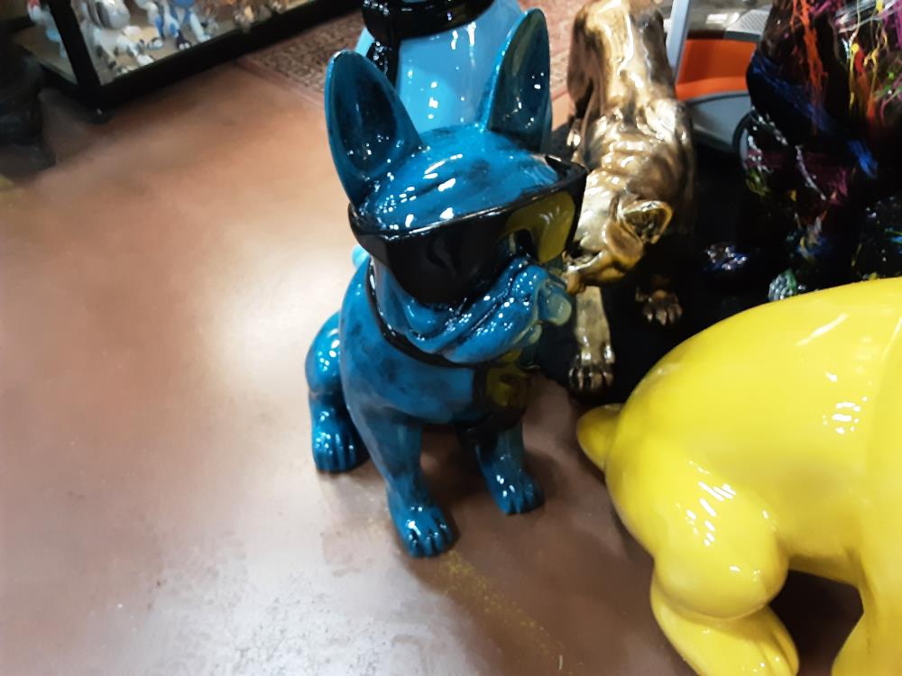 BULLGOG BLEU LUNETTE