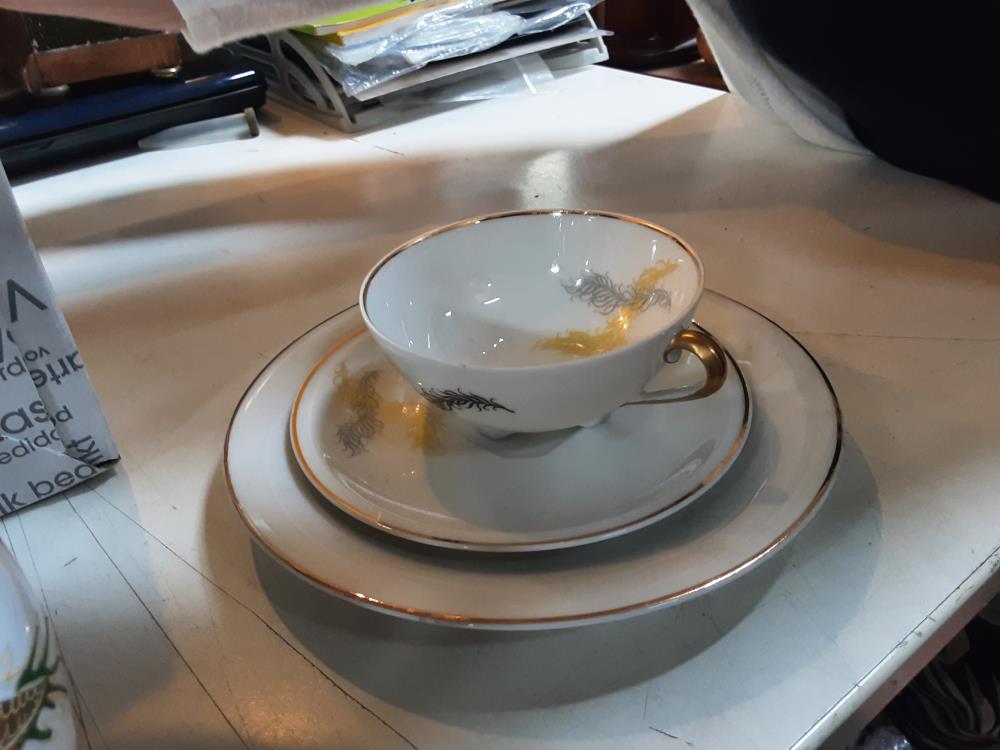 TASSE PRESENTATION LIMOGES