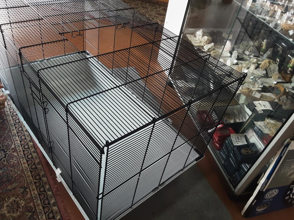 CAGE A COCHON D’INDE