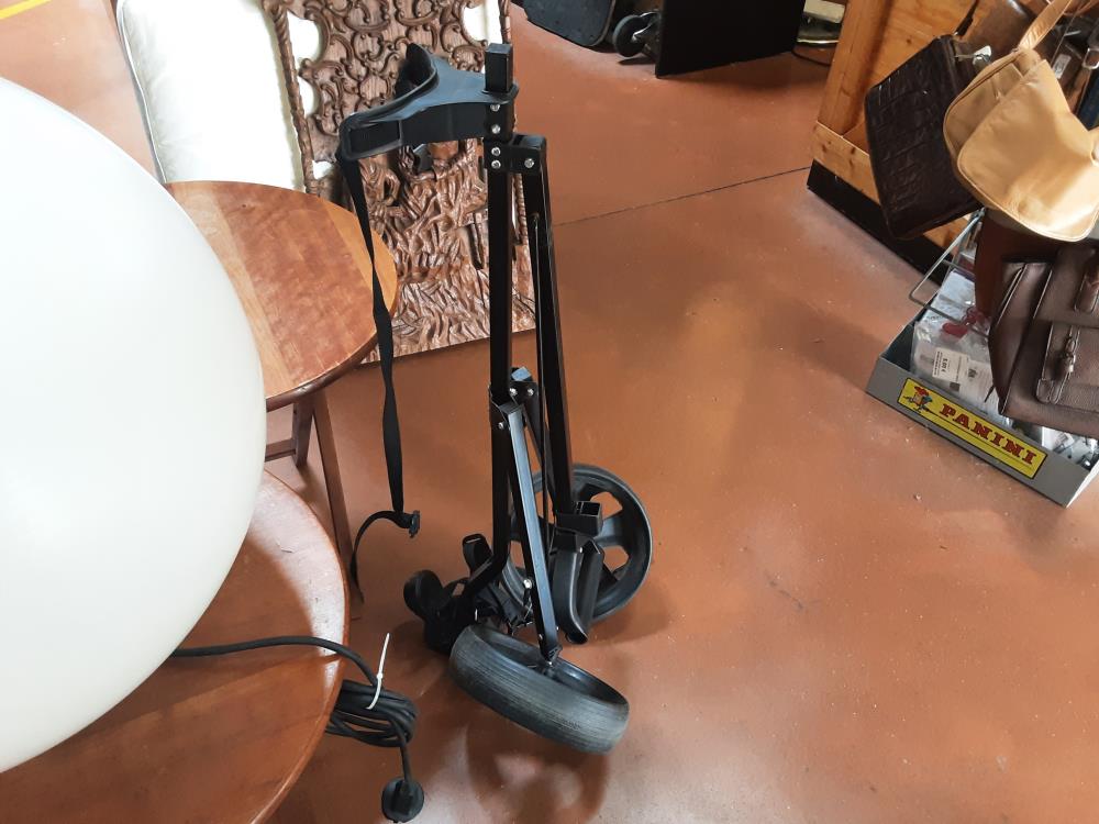 CHARIOT DE GOLF