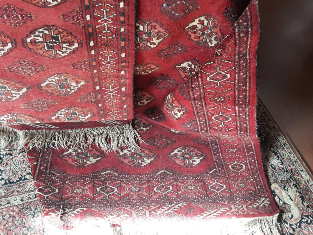 TAPIS ROUGE MM