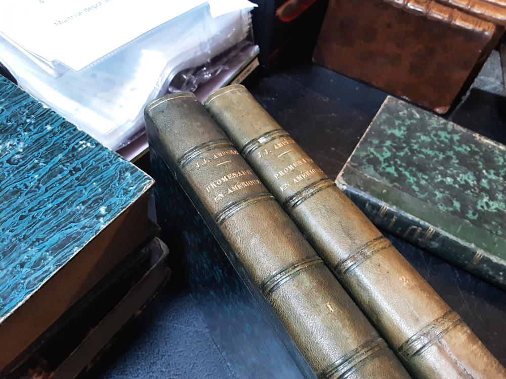 LOT DE 2 TOMES PROMENADE D’AMERIQUE 1867