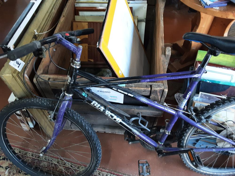 VELO BIANCHI VIOLET