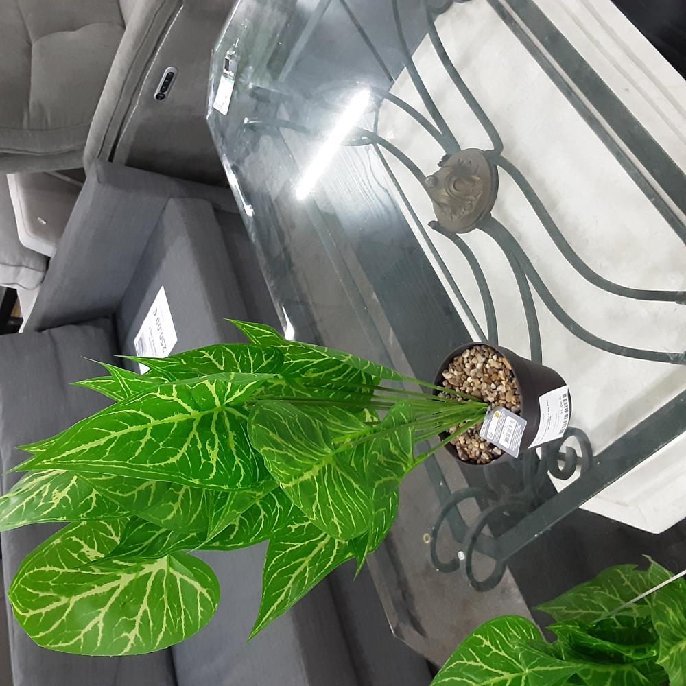 PLANTE ARTIFICIELLE EN POT 55CM M6