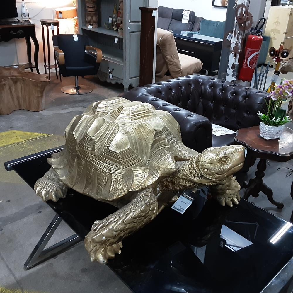 TORTUE DORE 