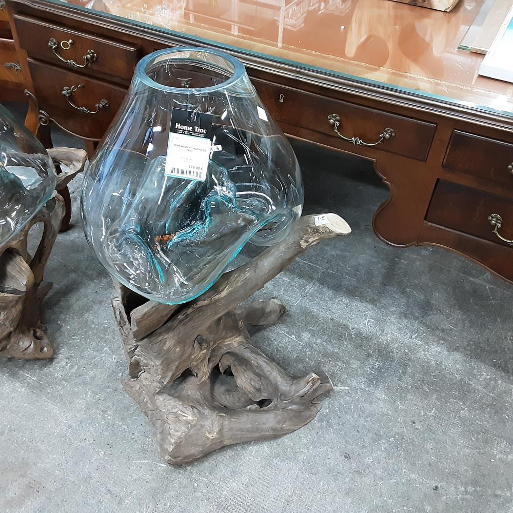 TERRARIUM N°1 RACINE DE TECK