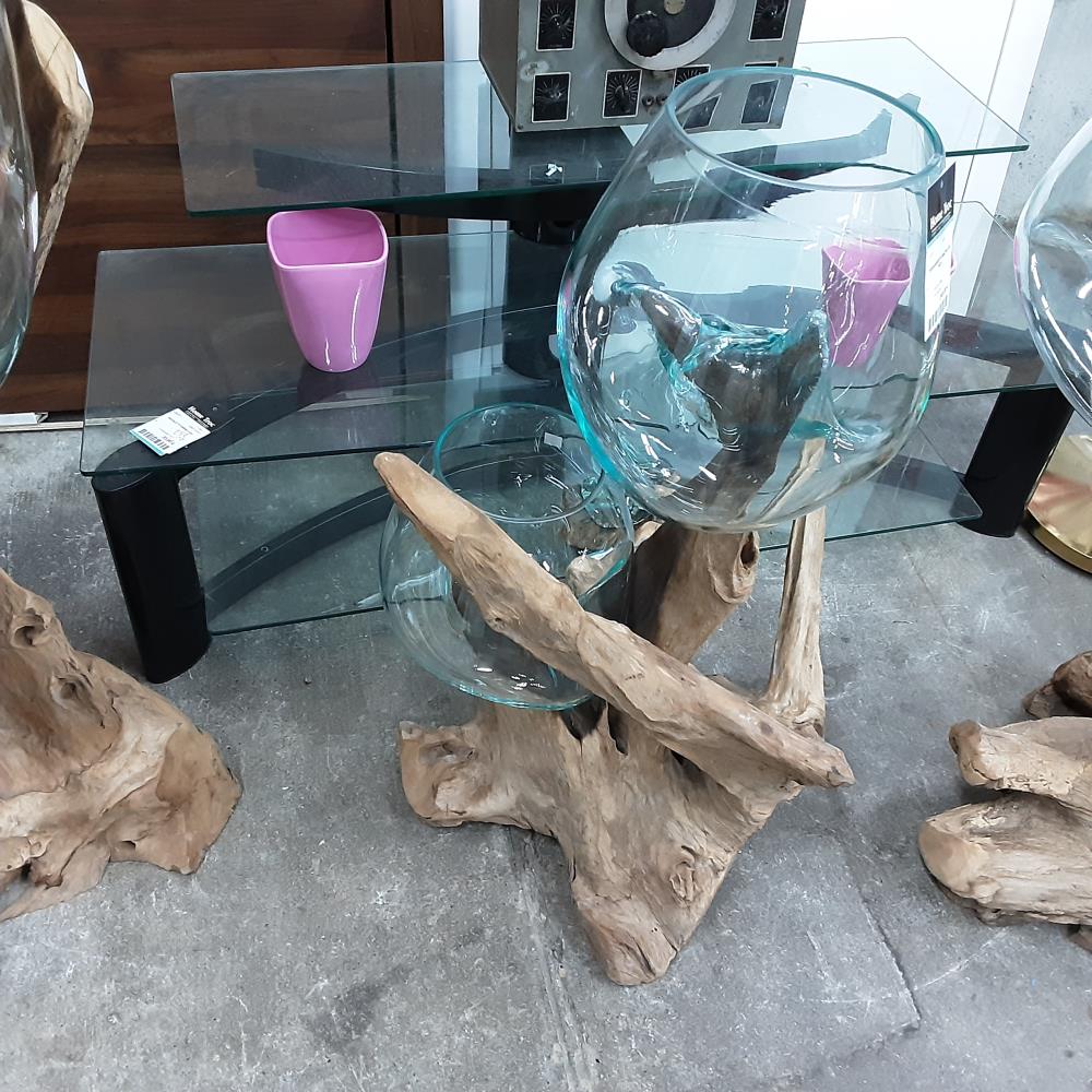 TERRARIUM N°2 RACINE DE TECK