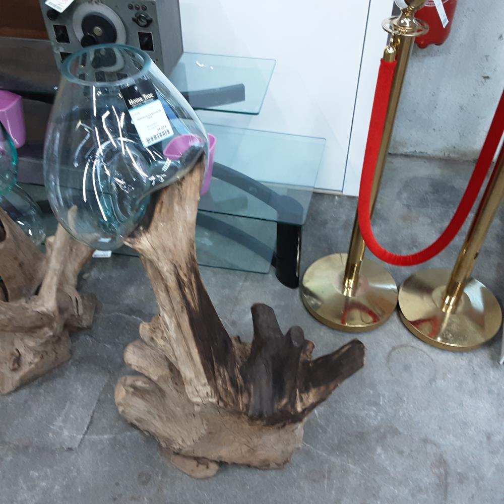 TERRARIUM N°3 RACINE DE TECK