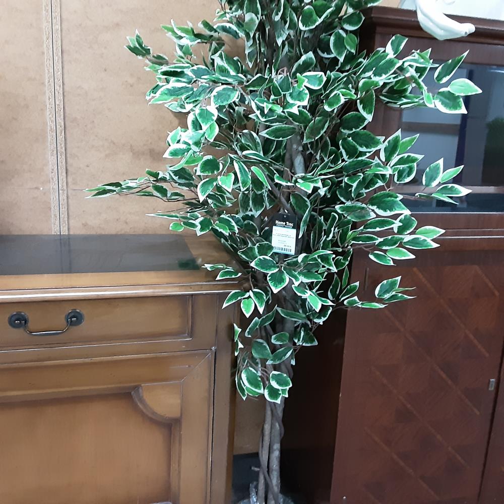 PLANTE ARTIFICIELLE FEUILLAGE PANACHE 160CM M4