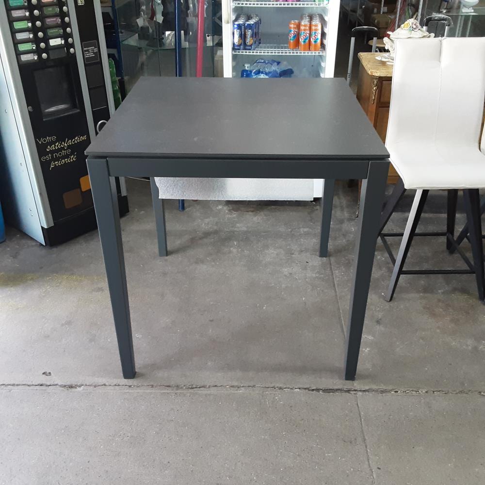 TABLE HAUTE AVEC RALLONGES 