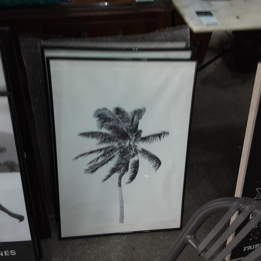 CADRE PALMIERS 