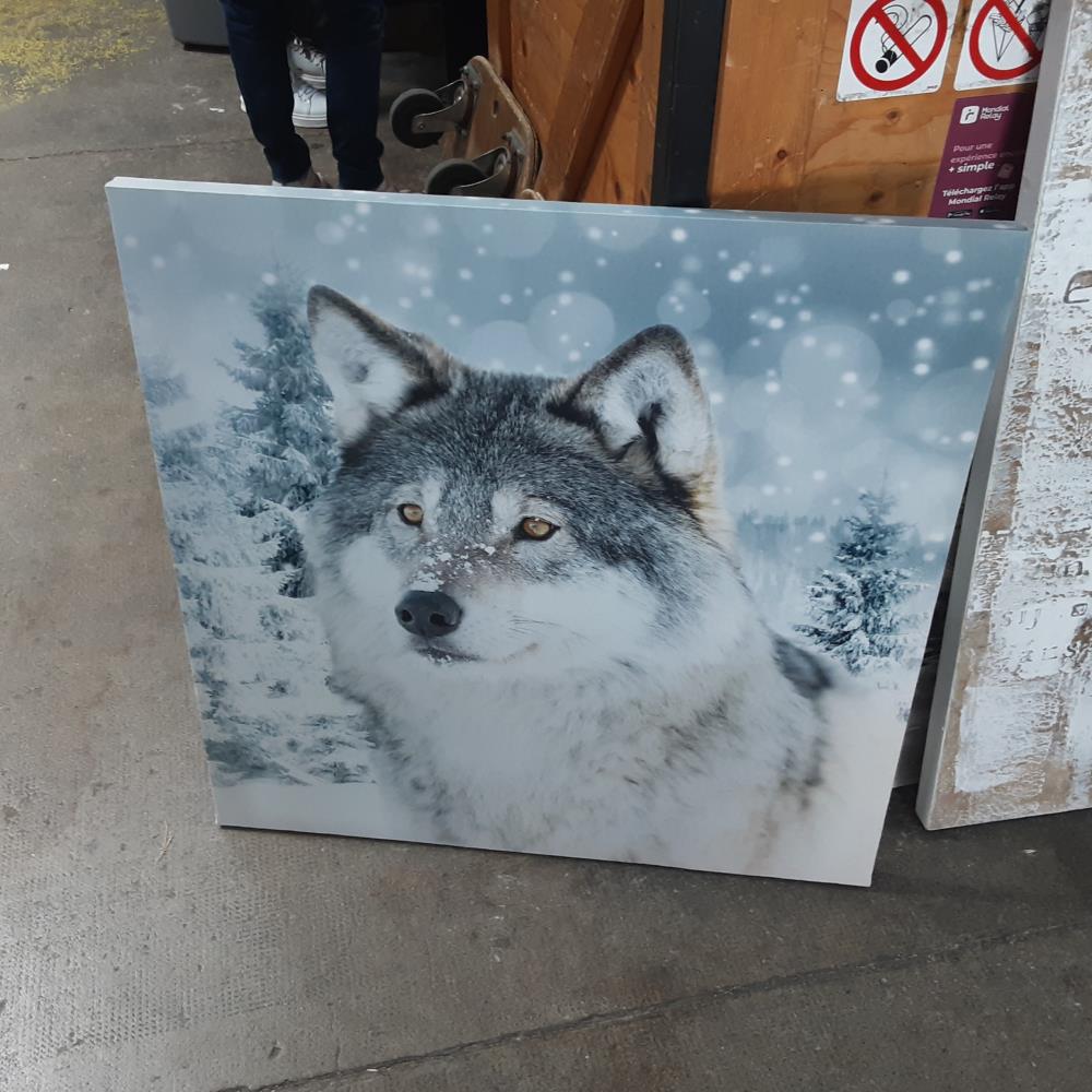 TABLEAU LOUP 