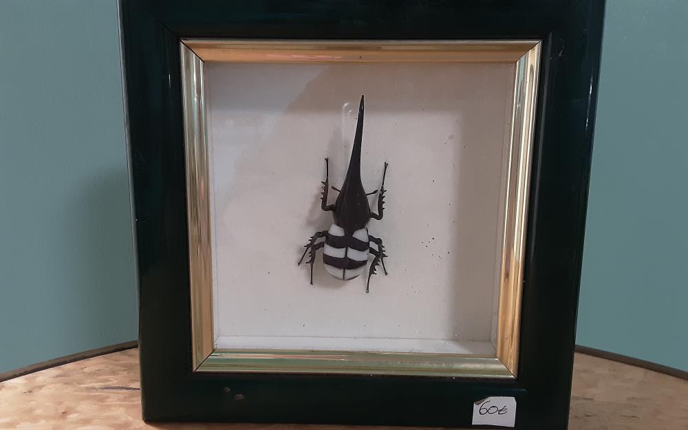 INSECTE EN VERRE FILÉE DE MURANO VICTORIO CONSTANTINI GUÊPE ET SCARABÉE 